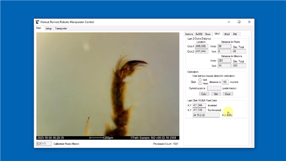 FPath Walnut software calibrated